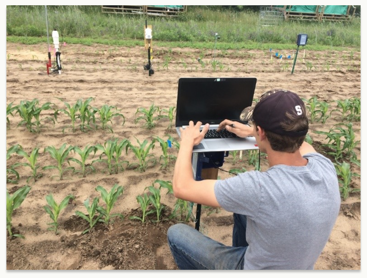 UX researcher with laptop in cornfield with installed soil sensors